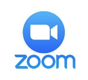 Zoom Icon